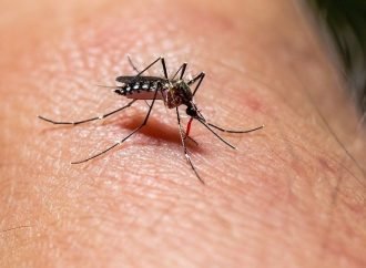 Siguen altos los casos de Dengue en Casanare