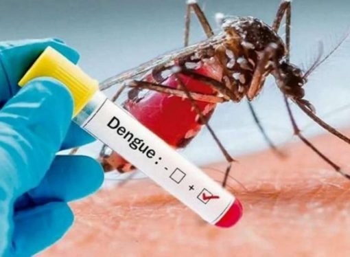 Támara en brote por dengue