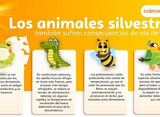 Impactantes Efectos del Calor en la Fauna Silvestre