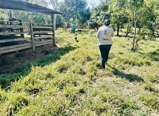 La URT devolvió 213 hectáreas a sus legítimos dueños