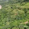 Ecopetrol adquirió 970 hectáreas para la protección de la biodiversidad en Casanare