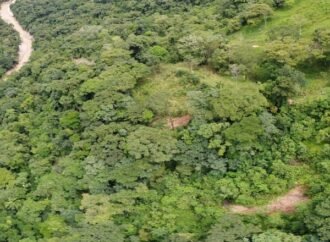 Ecopetrol adquirió 970 hectáreas para la protección de la biodiversidad en Casanare