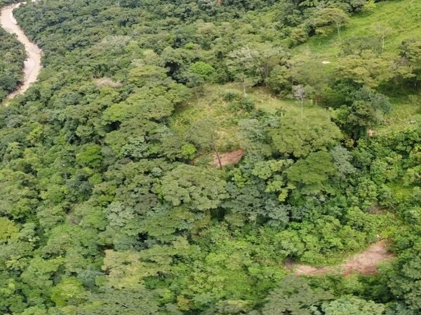 Ecopetrol adquirió 970 hectáreas para la protección de la biodiversidad en Casanare