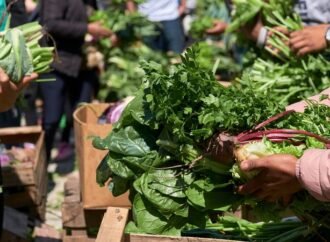 FAO pide unir esfuerzos para lograr el acceso a dietas saludables en América Latina y el Caribe