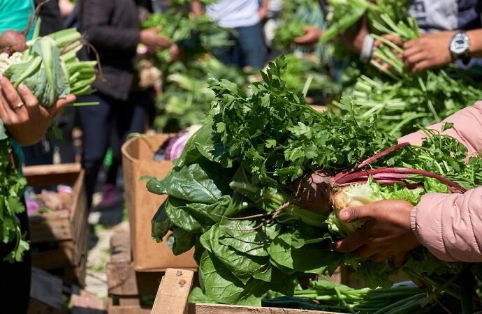 FAO pide unir esfuerzos para lograr el acceso a dietas saludables en América Latina y el Caribe