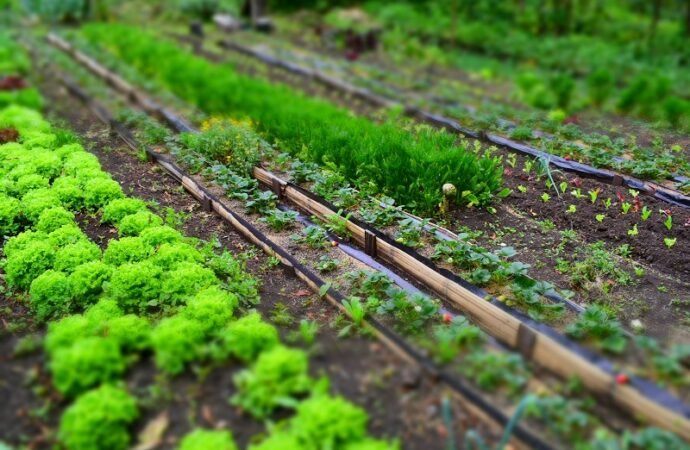 Transición hacia la agroecología, una meta que se construye concertadamente con comunidades en Colombia