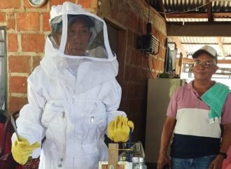 La miel, la leche y el queso ayudan a cicatrizar las heridas en Colombia