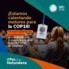 31 de agosto vence el plazo para la acreditación de periodistas para la Zona Azul de la COP16