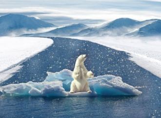 La extinción más cerca: el enero más caluroso de la historia