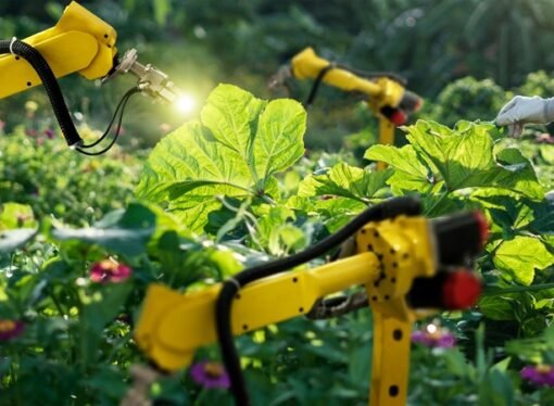 Creatividad e innovación, herramientas claves en favor de la alimentación y la agricultura