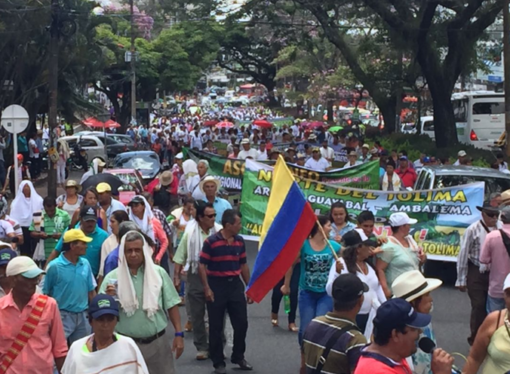Paro nacional arrocero en todo el país
