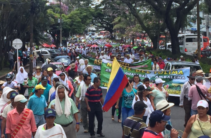 Paro nacional arrocero en todo el país