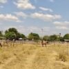 La justicia ordena compensar a una mujer víctima de despojo de tierras