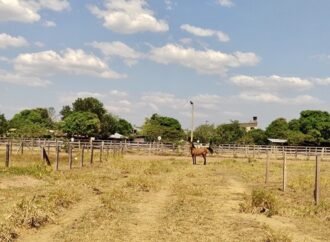 La justicia ordena compensar a una mujer víctima de despojo de tierras
