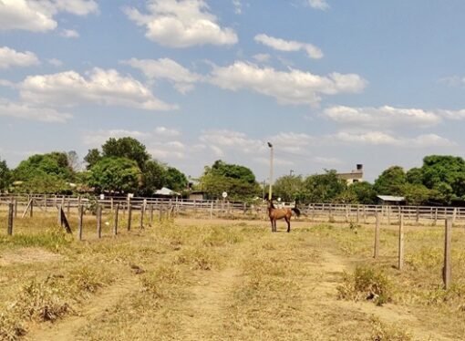 La justicia ordena compensar a una mujer víctima de despojo de tierras