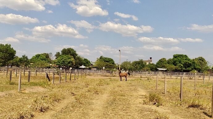 La justicia ordena compensar a una mujer víctima de despojo de tierras